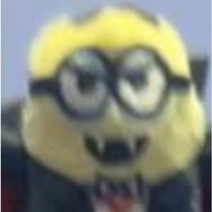 Meet your Posher, Rainbowlake